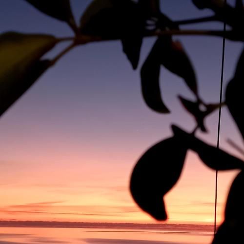 Outdoor Pictures 2