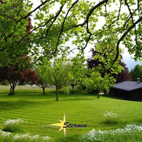 Outdoor Pictures 4