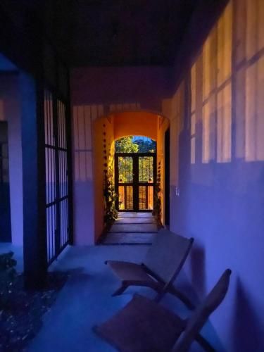 Outdoor Pictures 9
