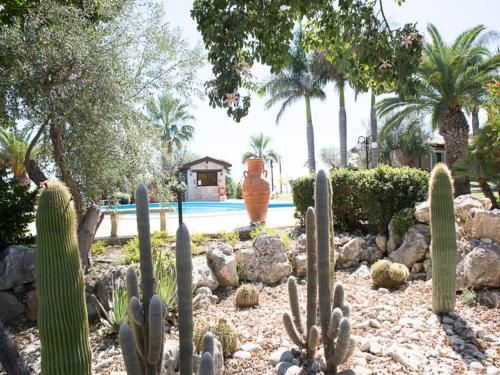 Outdoor Pictures 8