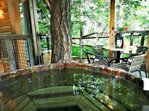 Outdoor Pictures 20