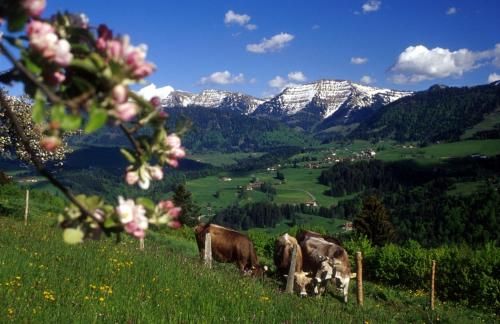Outdoor Pictures 10