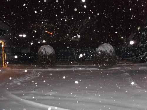 Outdoor Pictures 17