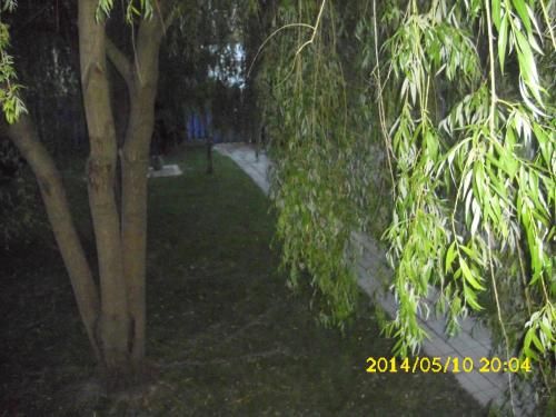 Outdoor Pictures 21