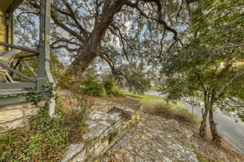 Outdoor Pictures 22