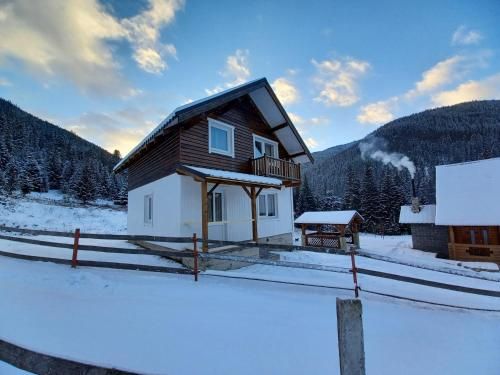 Outdoor Pictures 24