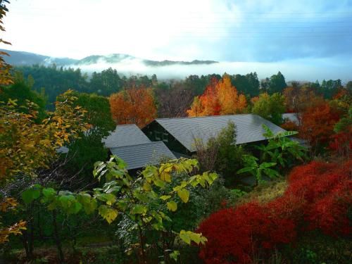 Outdoor Pictures 4