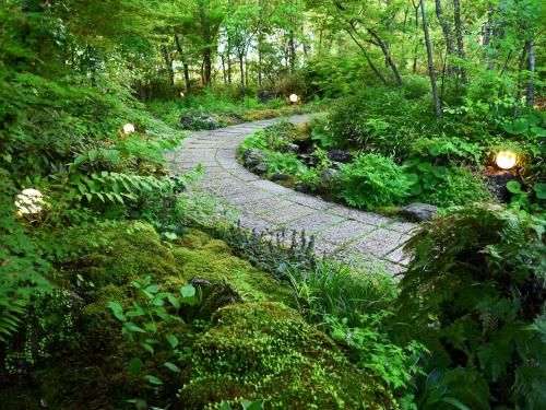 Outdoor Pictures 15