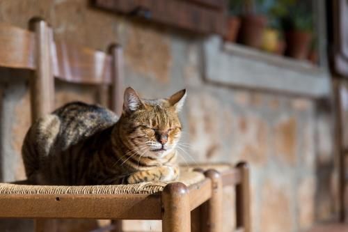 Outdoor Pictures 22