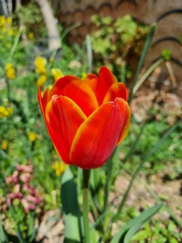 Outdoor Pictures 21