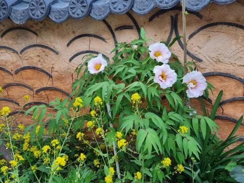 Outdoor Pictures 22
