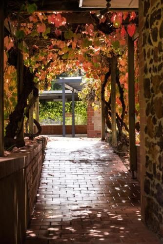 Outdoor Pictures 21