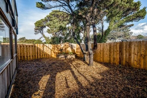 Outdoor Pictures 15