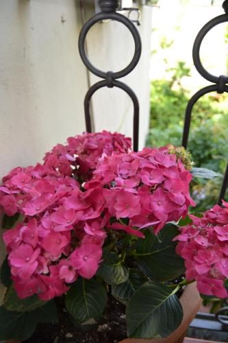 Outdoor Pictures 23