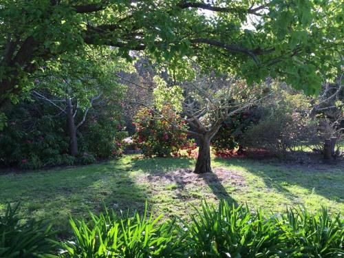 Outdoor Pictures 18