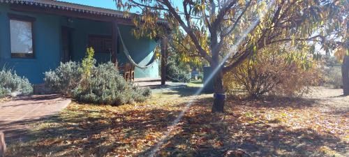 Outdoor Pictures 1