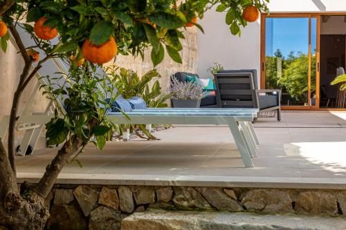 Outdoor Pictures 24