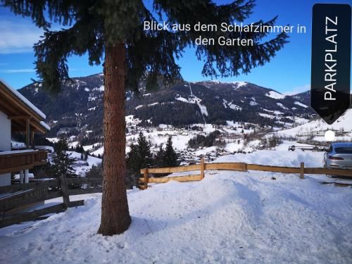 Outdoor Pictures 12