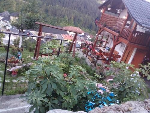 Outdoor Pictures 9