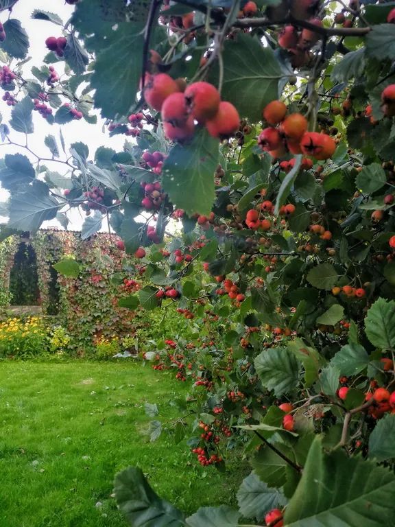 Outdoor Pictures 18
