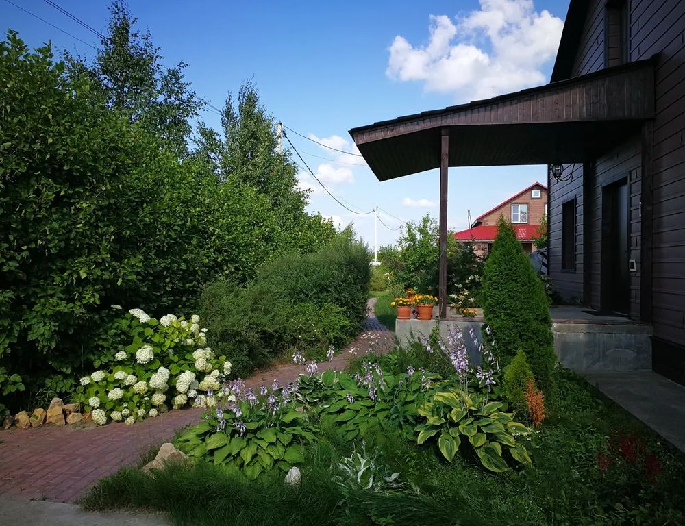Outdoor Pictures 5