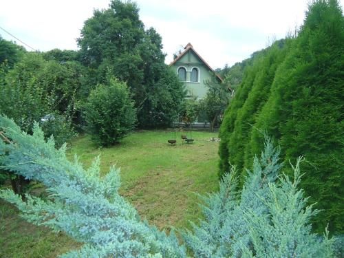 Outdoor Pictures 9