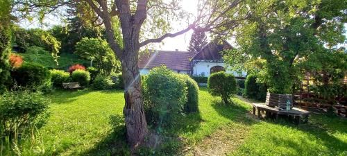 Outdoor Pictures 21