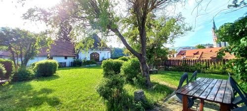 Outdoor Pictures 22