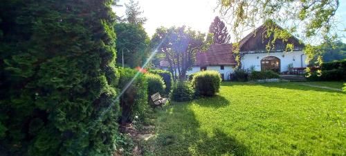 Outdoor Pictures 23