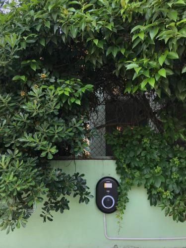 Outdoor Pictures 7