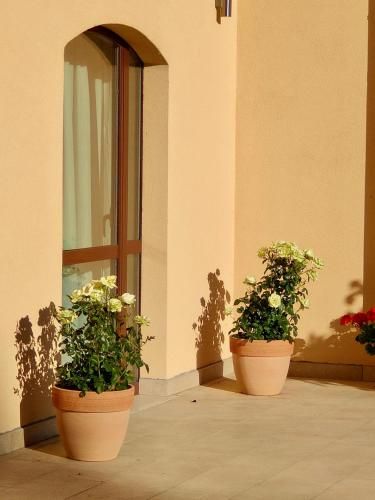 Outdoor Pictures 20