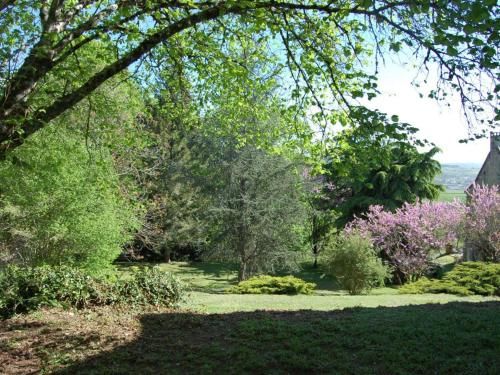 Outdoor Pictures 5
