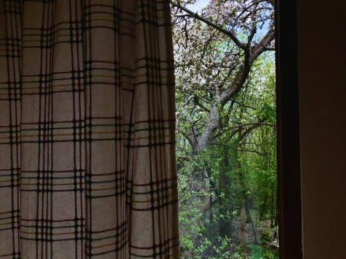 Outdoor Pictures 21