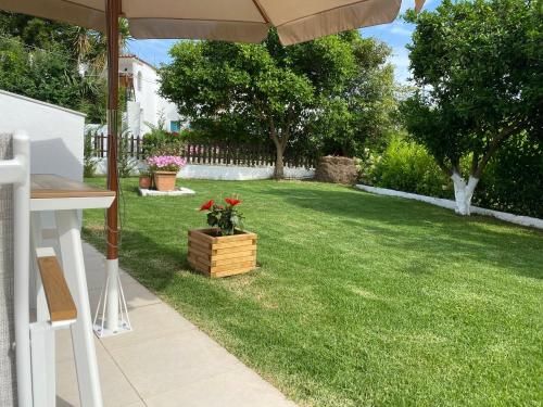 Outdoor Pictures 23