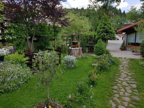 Outdoor Pictures 10