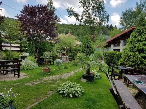 Outdoor Pictures 11
