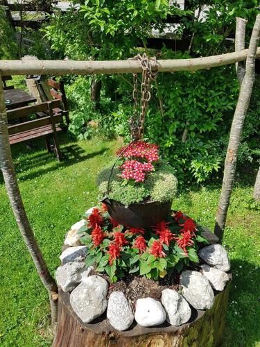 Outdoor Pictures 12