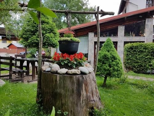 Outdoor Pictures 24