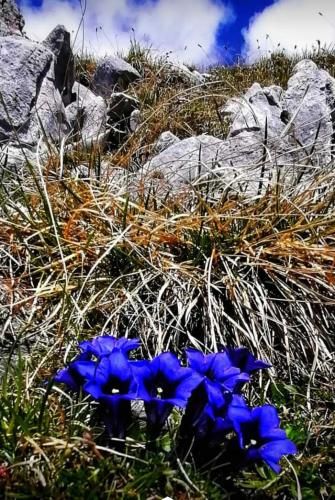Outdoor Pictures 17