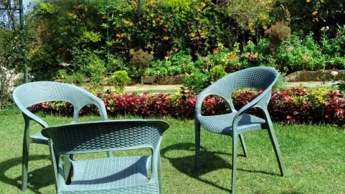 Outdoor Pictures 20