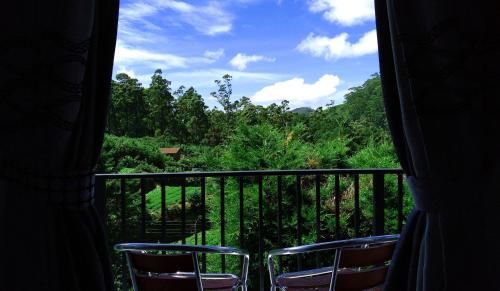 Outdoor Pictures 15