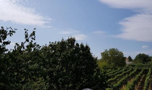 Outdoor Pictures 2