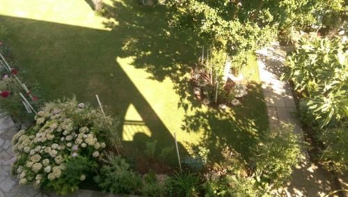 Outdoor Pictures 4