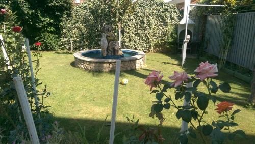 Outdoor Pictures 5