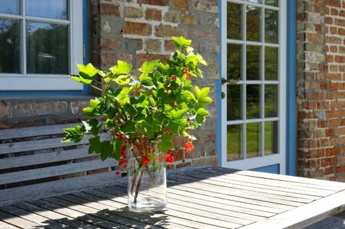 Outdoor Pictures 9