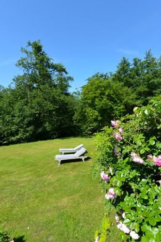 Outdoor Pictures 21