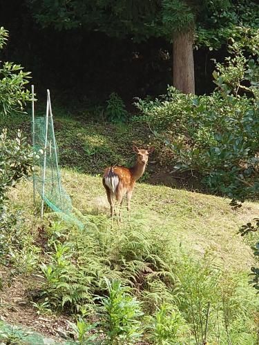Outdoor Pictures 14