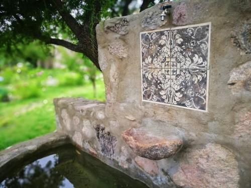 Outdoor Pictures 8