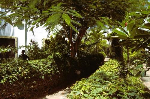 Outdoor Pictures 12