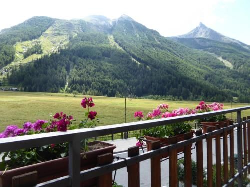 Outdoor Pictures 7